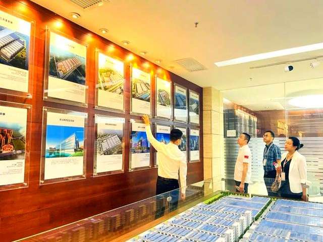 富源花魔芋种子种植基地