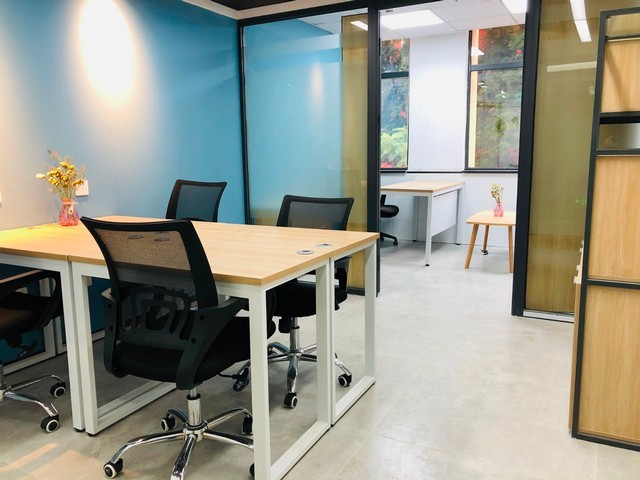 上海灰树花菇供货商