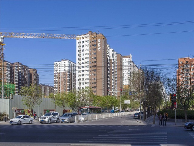 上海弯曲木板报价